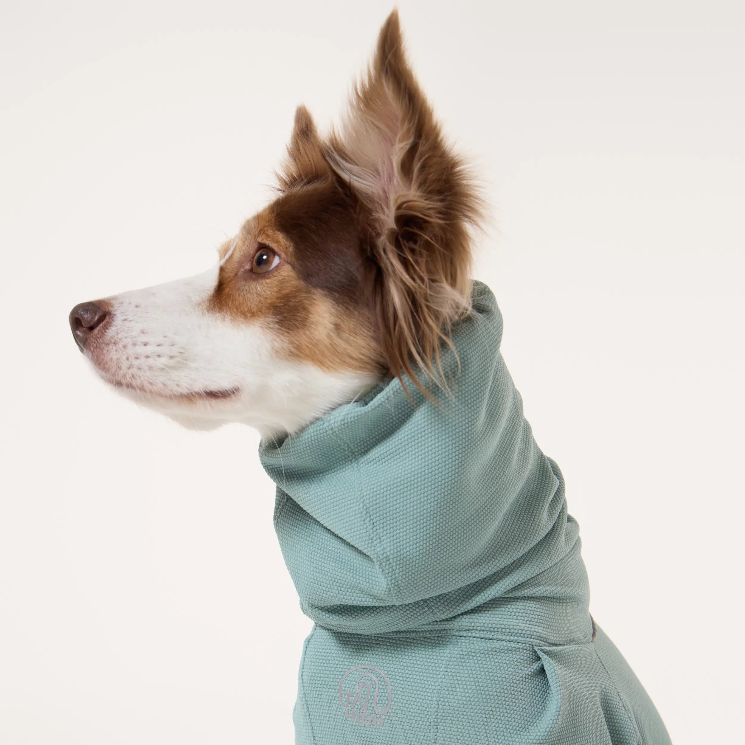 NEW】防虫アクティブスーツ Anti-Bug Active Suit – TAILHIGH