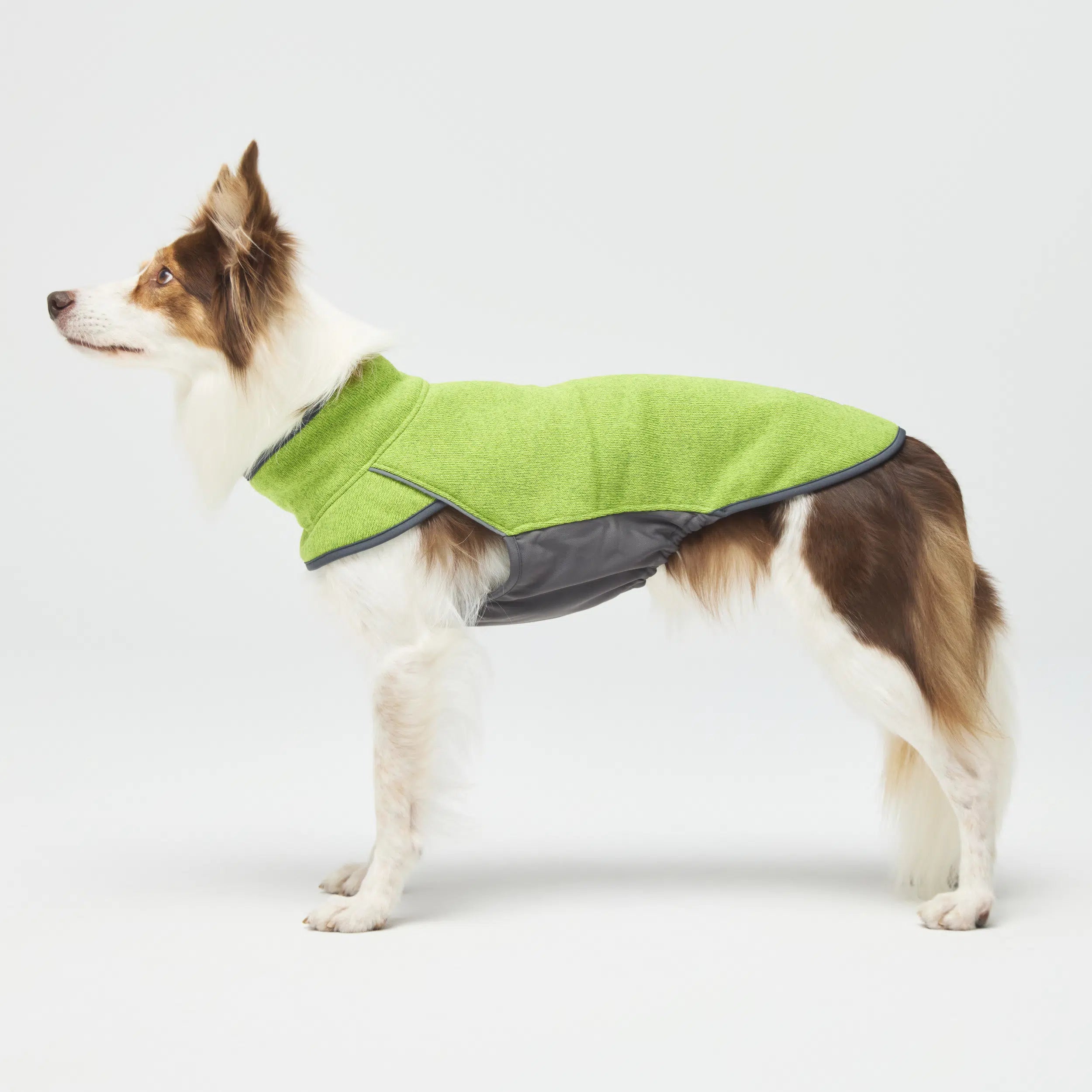 NEW】フリースヒータートップ Go2 Fleece Heater Top – TAILHIGH