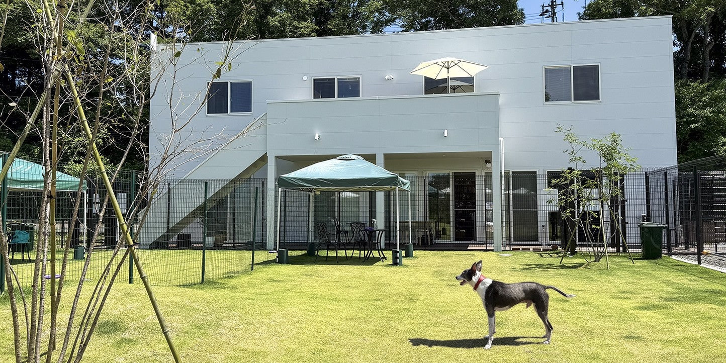 宮城県のSTARRY PARK(スターリーパーク) 泉ヶ岳でTAILHIGH製品の取り扱い開始