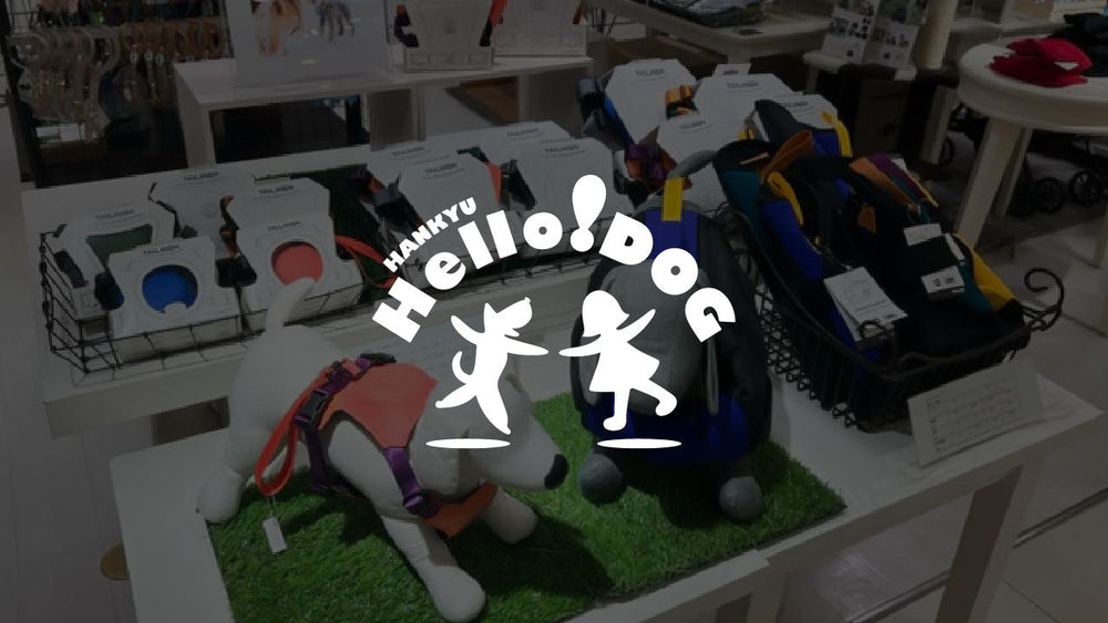 阪急ハロードッグの2店舗で初の店頭販売を実施