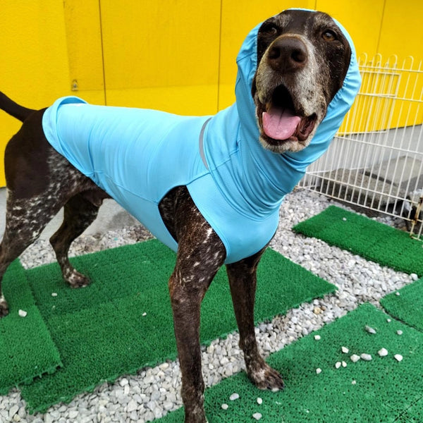 CLIP