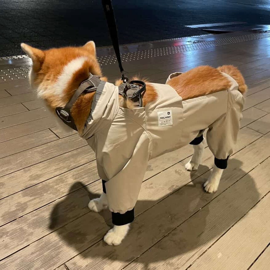 える