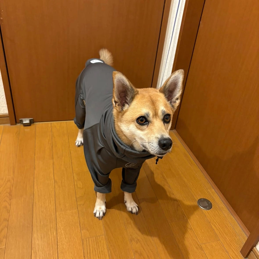 めい