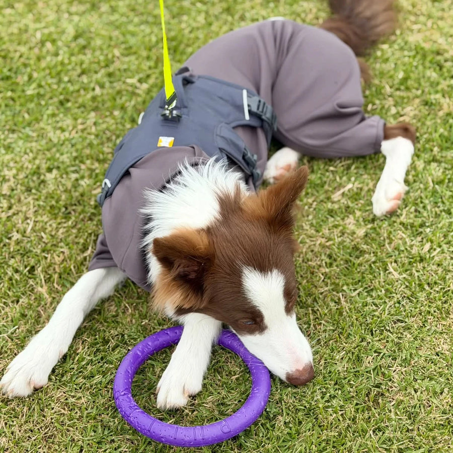 LUNA