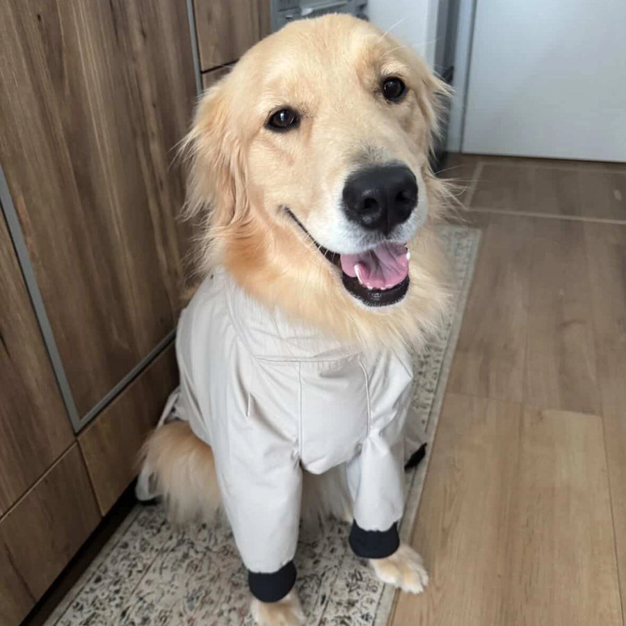 ビビ