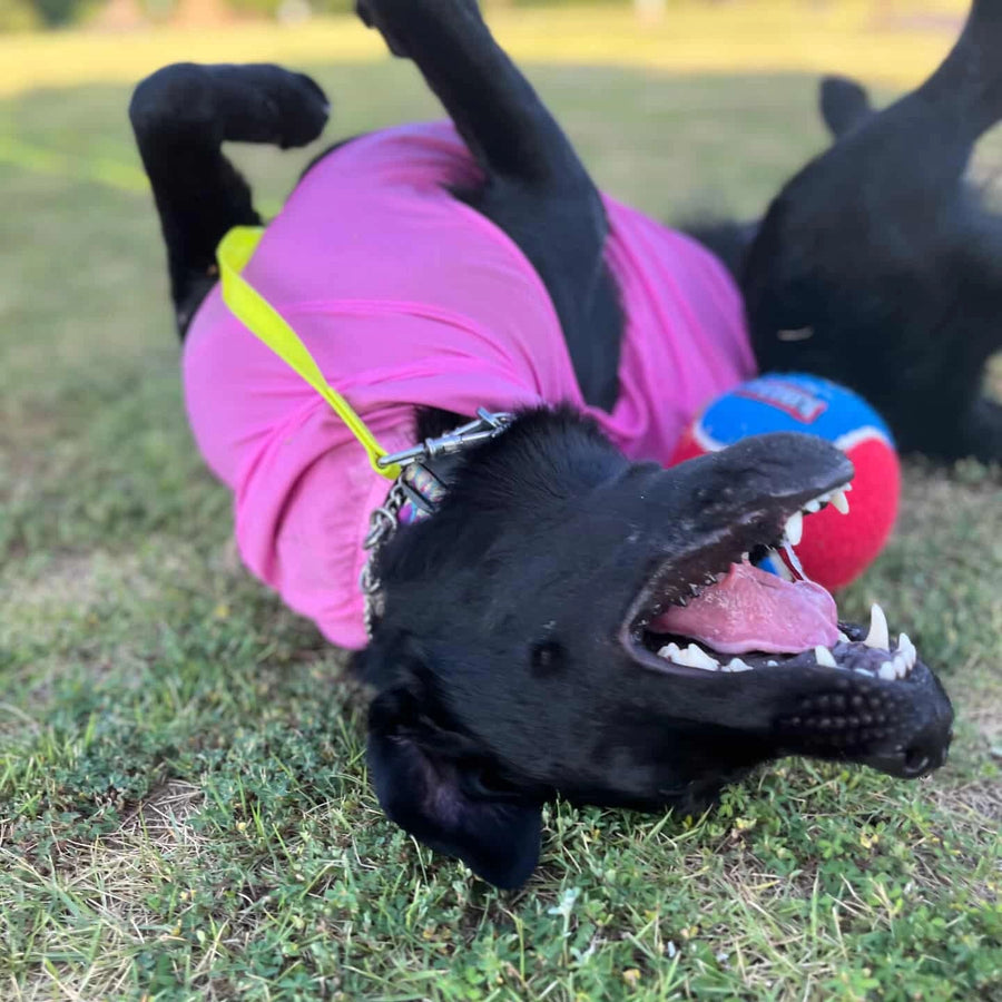 Ori