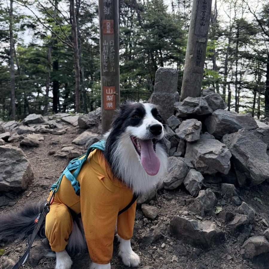 HANA