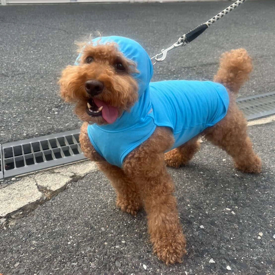 ちくわ