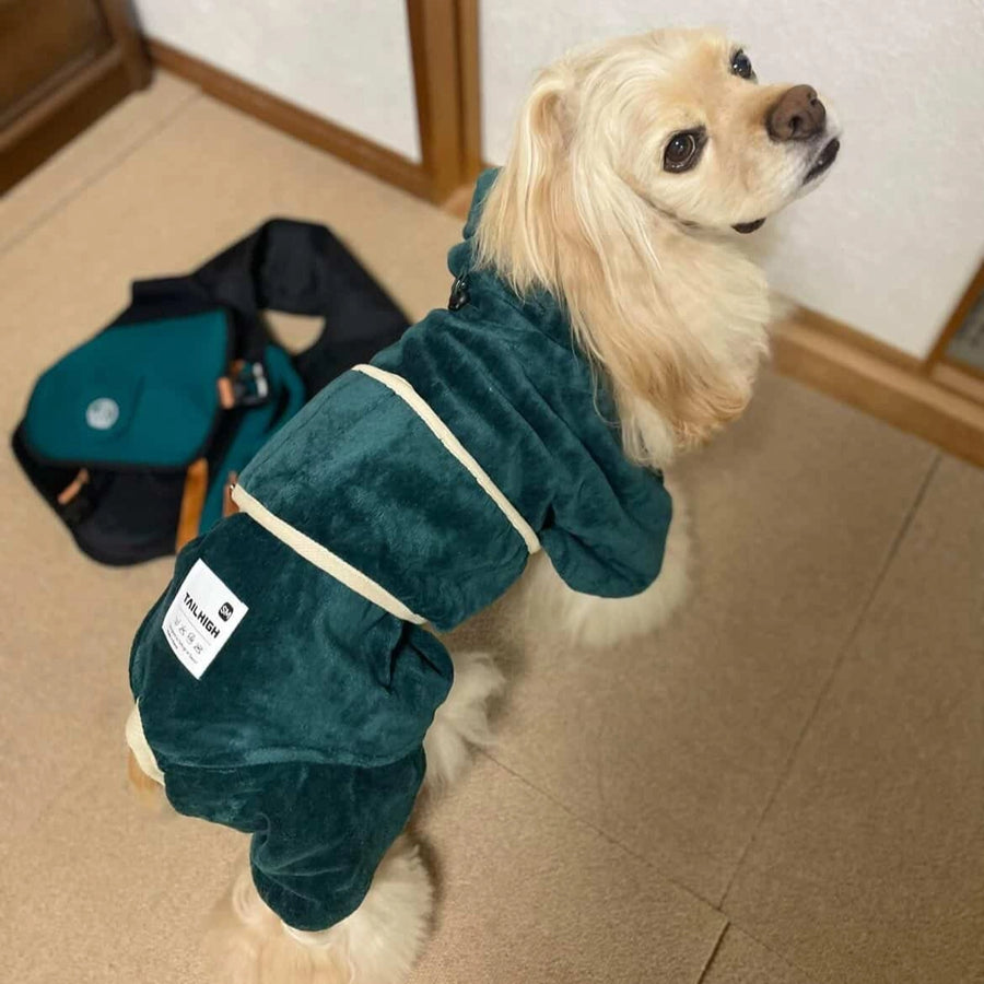 蓮