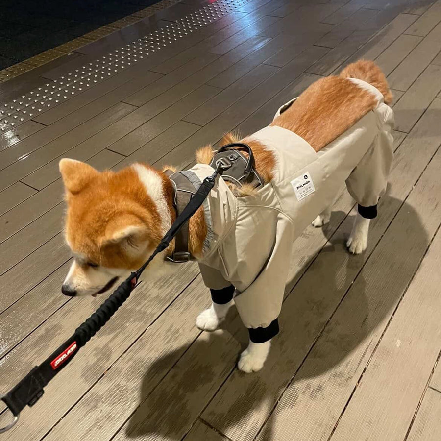える