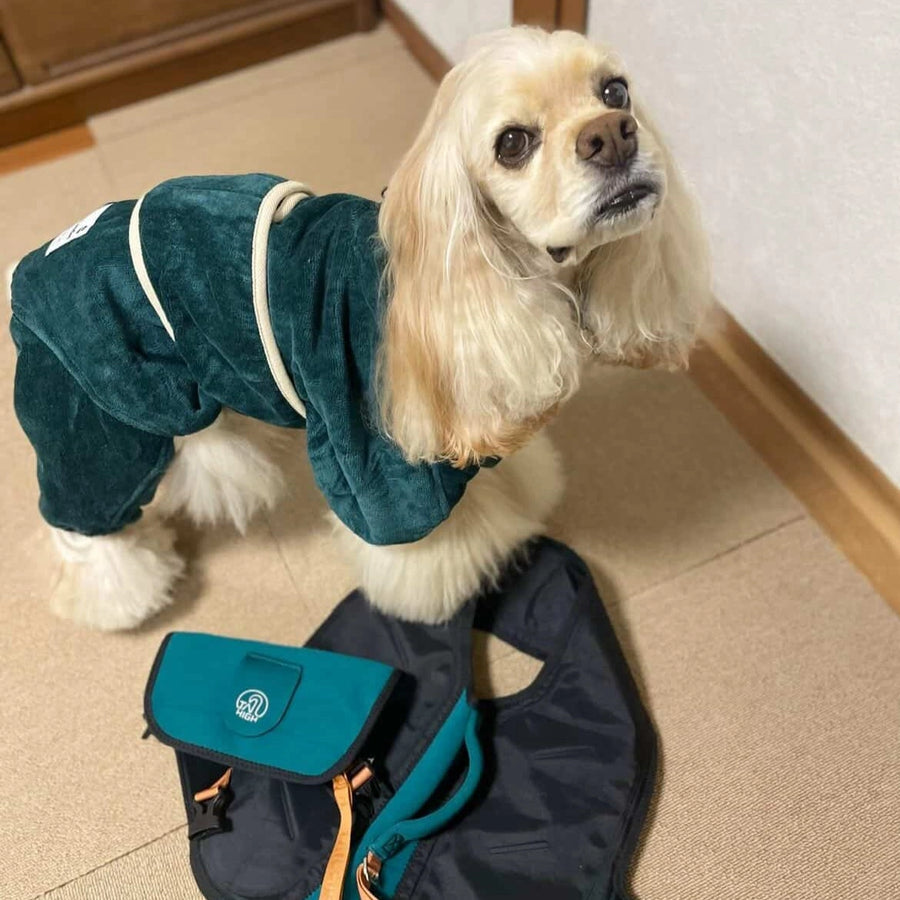 蓮