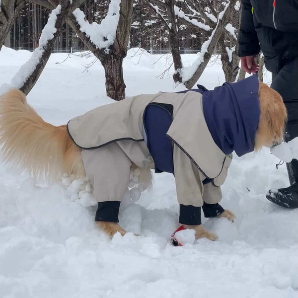 ビビ