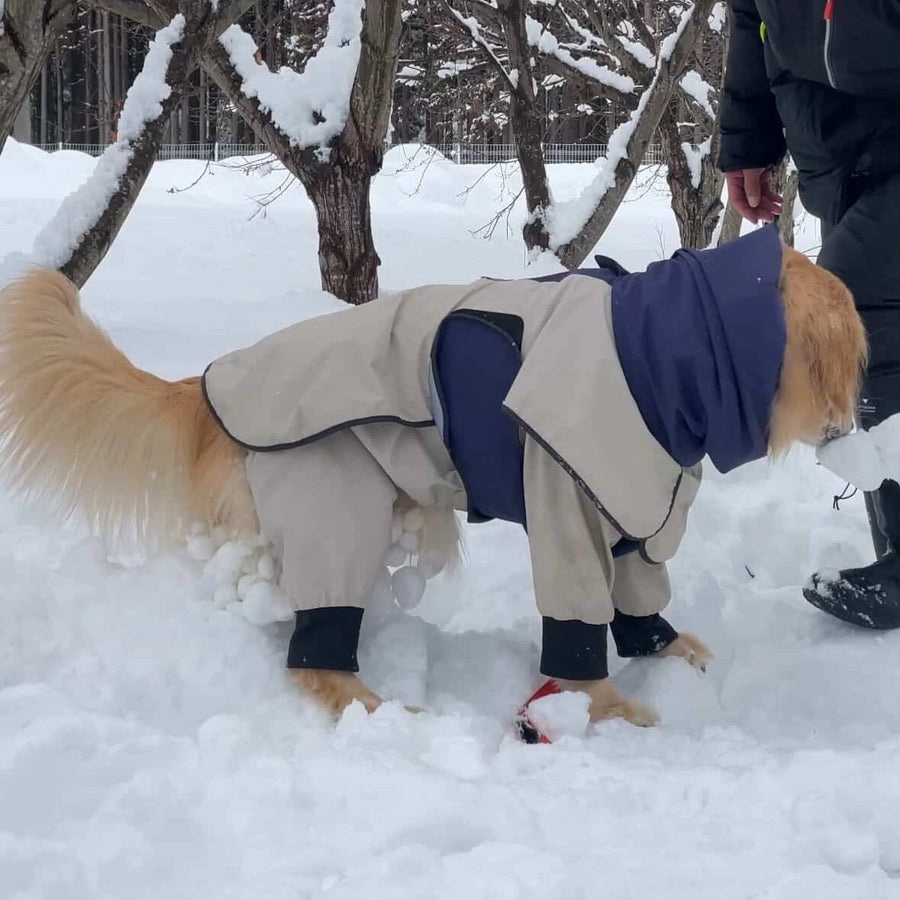 ビビ