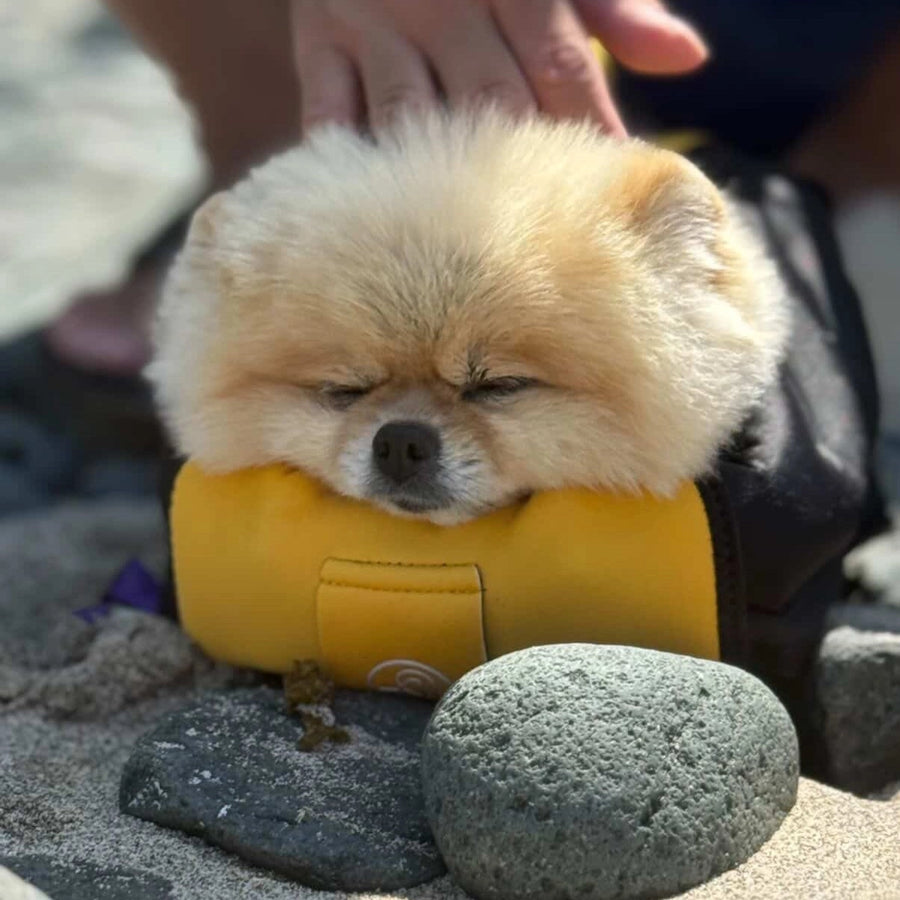 Choco
