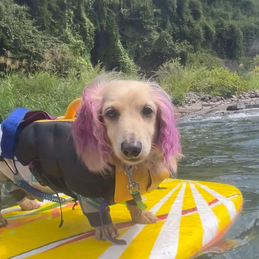 kira