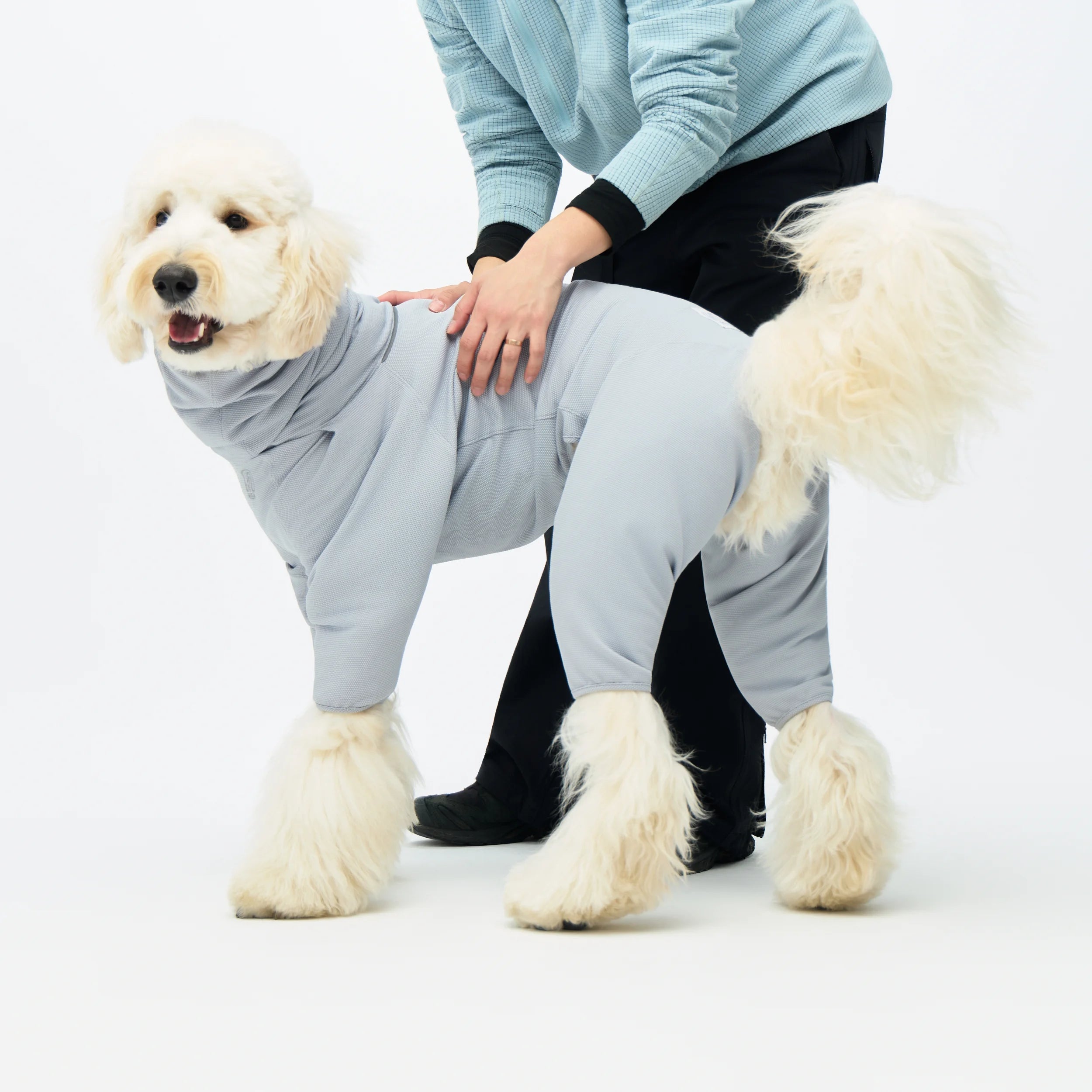 防虫アクティブスーツ ANTI-BUG ACTIVE SUIT 犬用防虫ウェア Anti-Bug Active Suit｜TAILHIGH