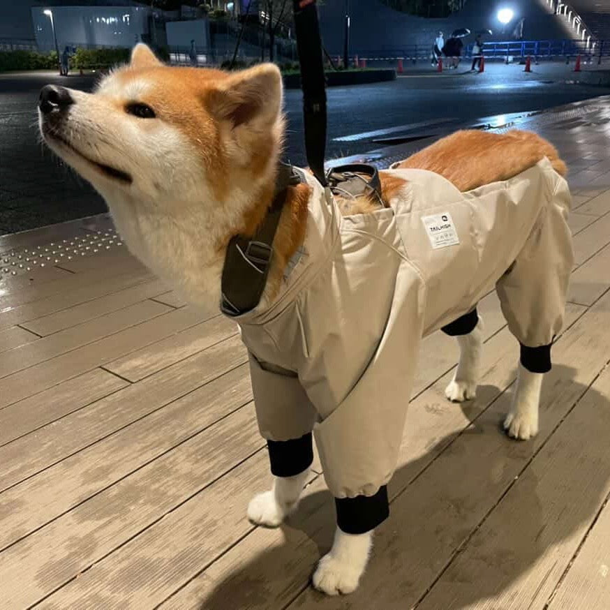 える