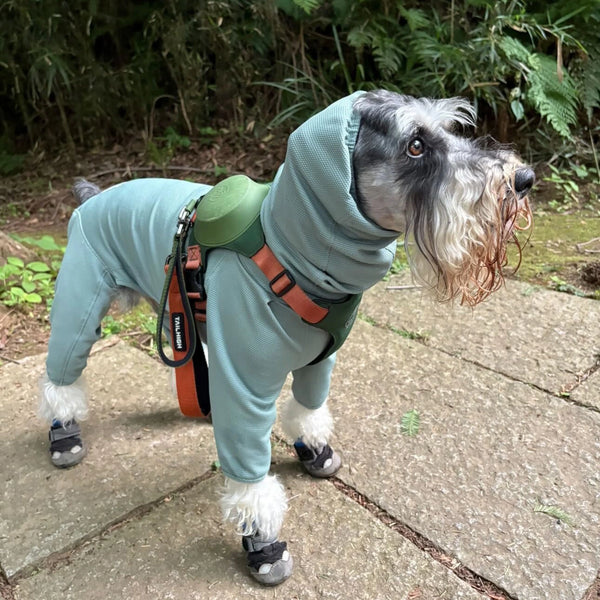 露伴
