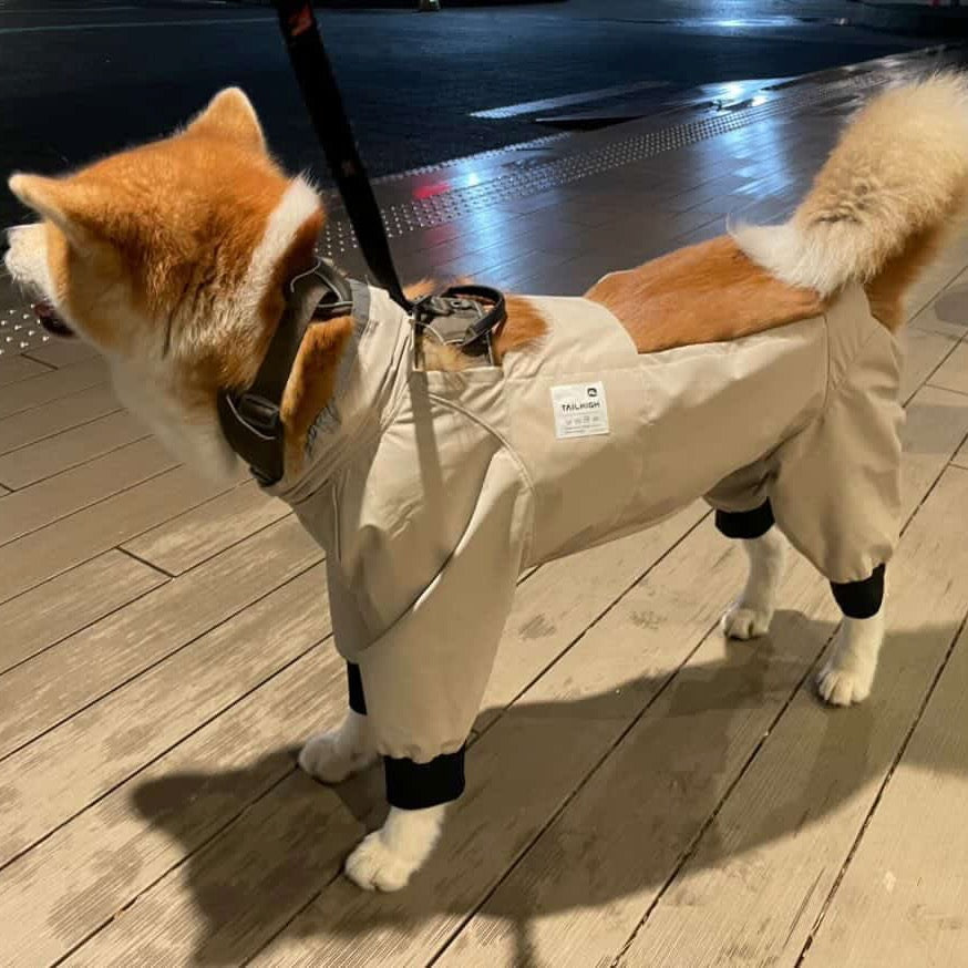 える