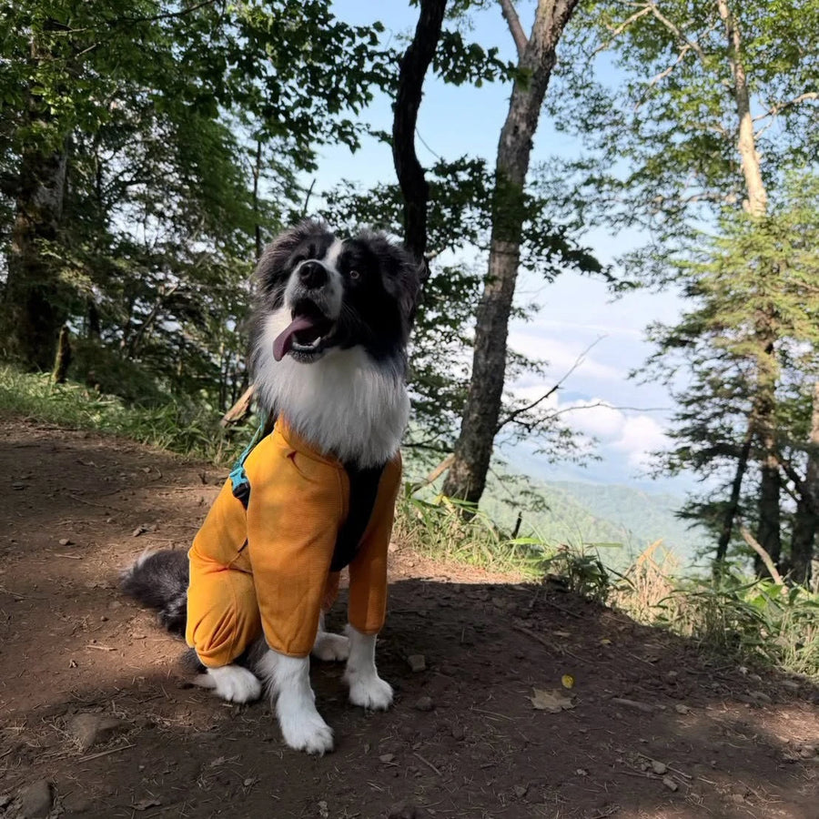 HANA