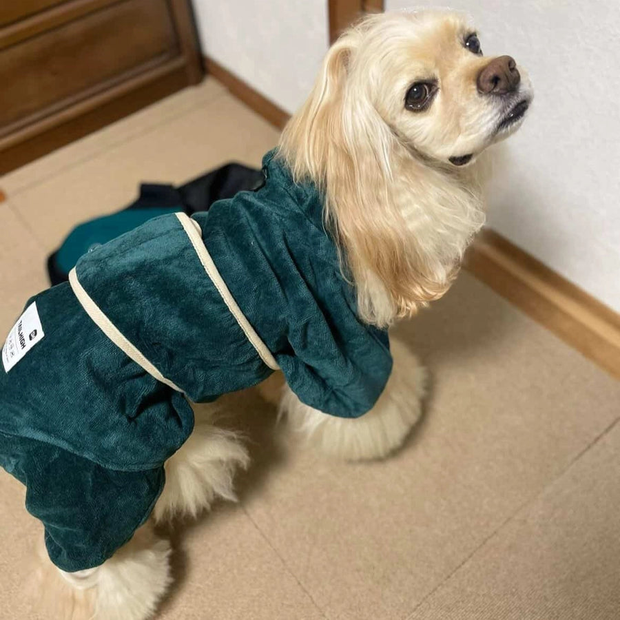 蓮