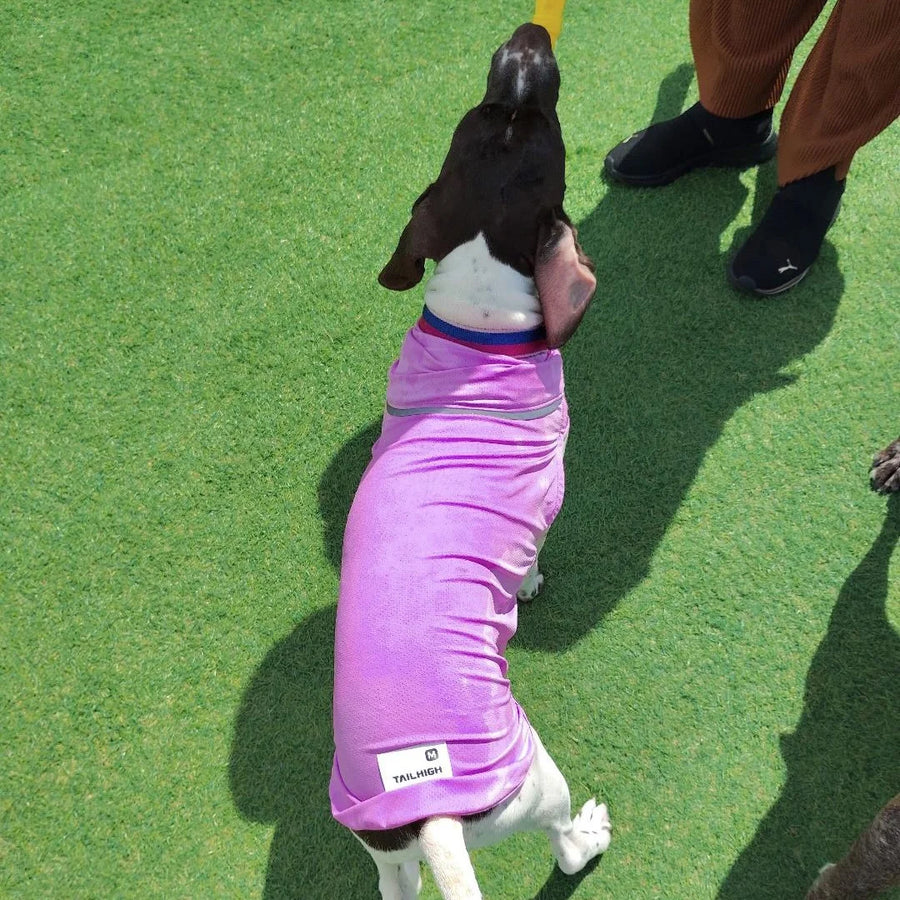 ちり子