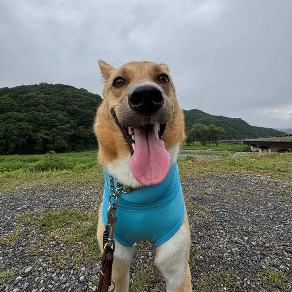 うみ