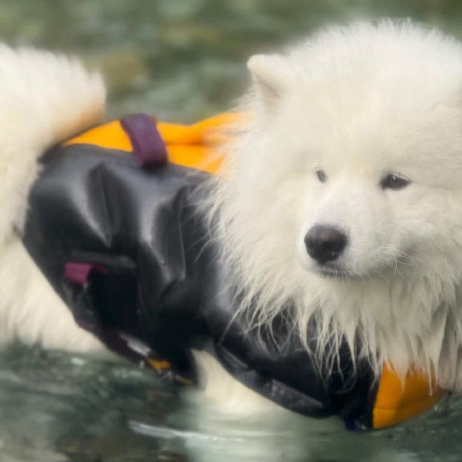がぶ