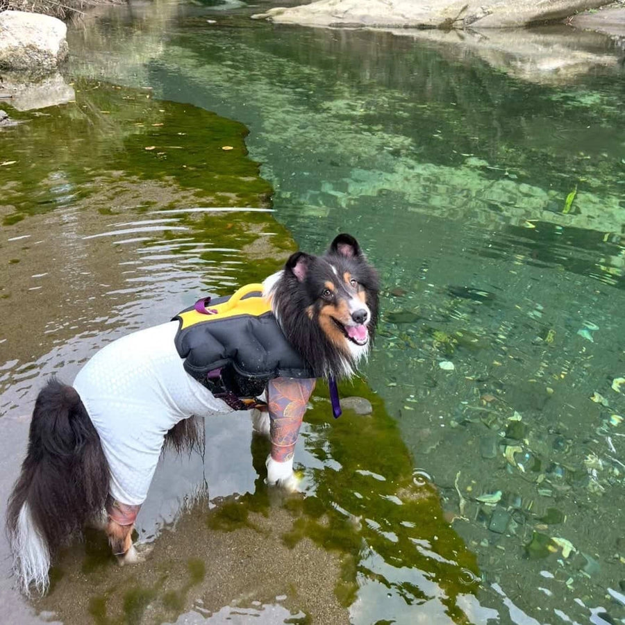 NICO