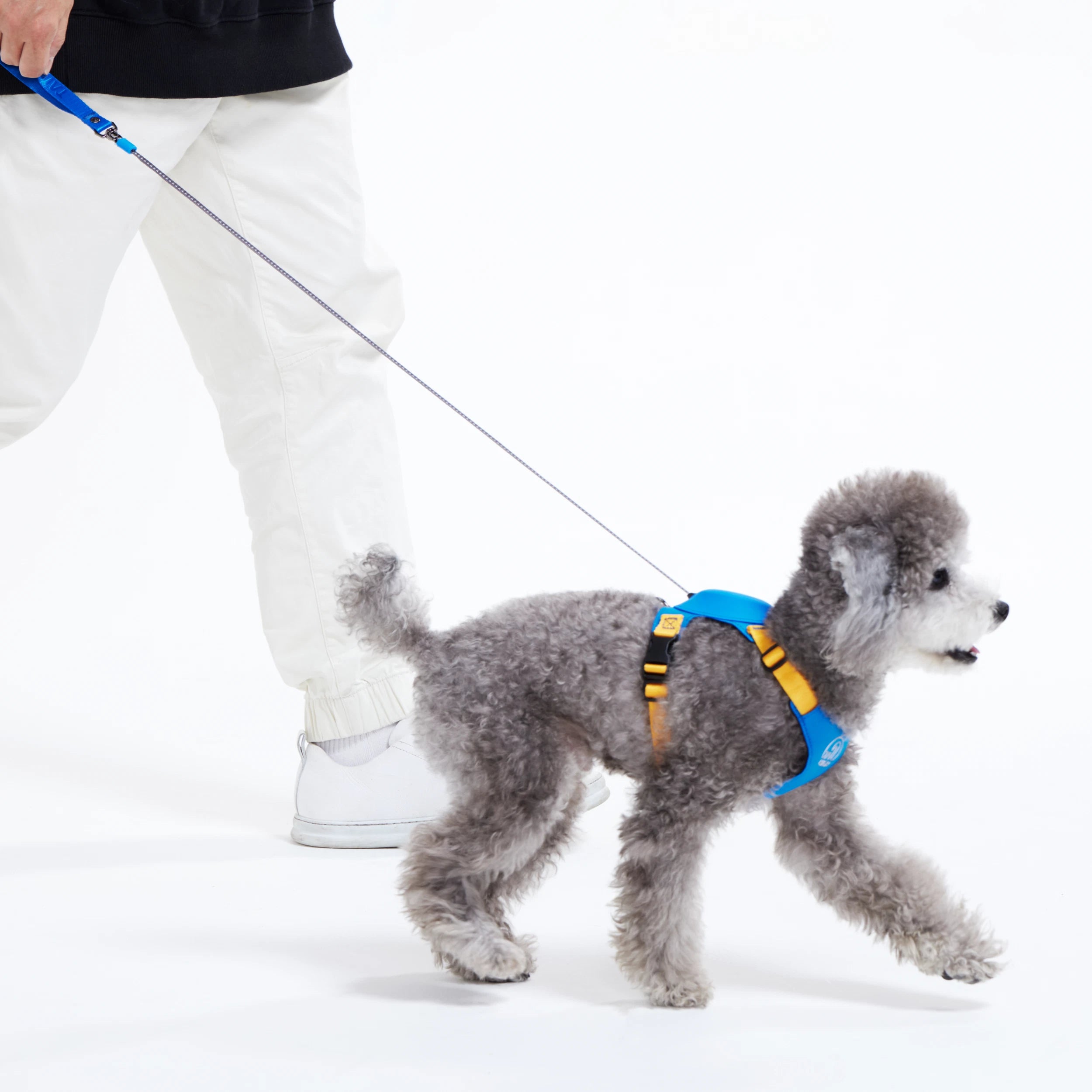伸縮リード一体型ハーネス Hybrid Harness – TAILHIGH 伸縮リード一体型ハーネス Hybrid Harness – TAILHIGH