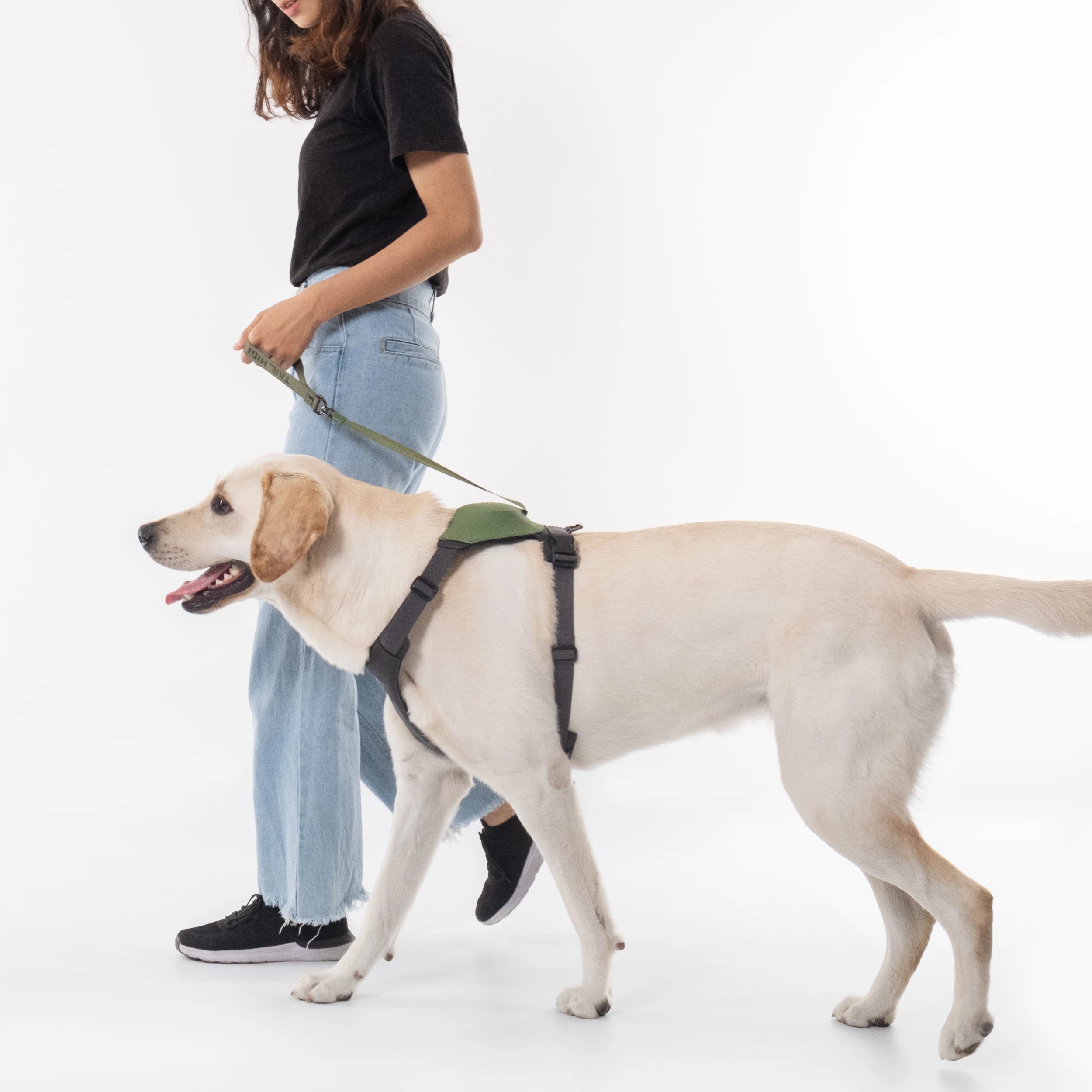 伸縮リード一体型ハーネス Hybrid Harness – TAILHIGH 伸縮リード一体型ハーネス Hybrid Harness – TAILHIGH