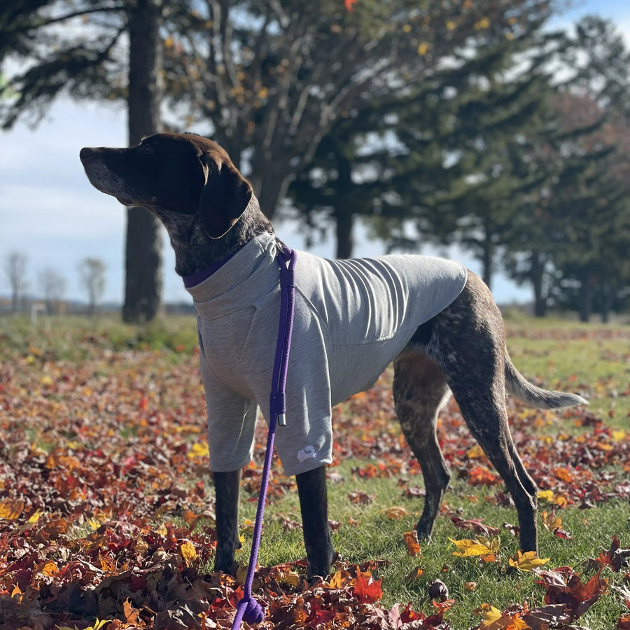 Gina