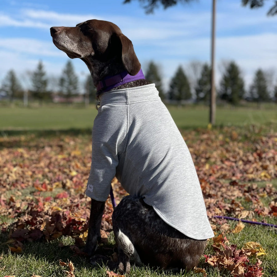 Gina