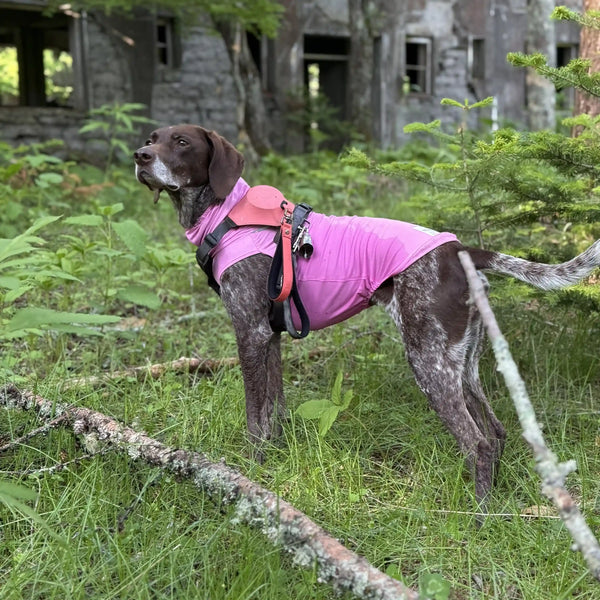 Gina
