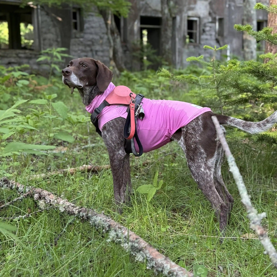 Gina