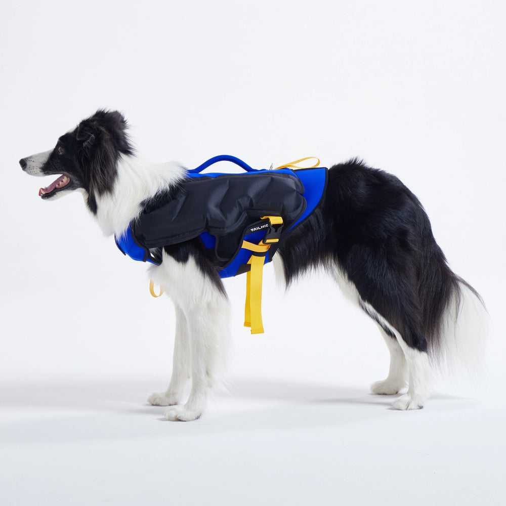 犬用ライフジャケット Inflatable Wetsuit|TAILHIGH 犬用ライフジャケット Inflatable Wetsuit|TAILHIGH