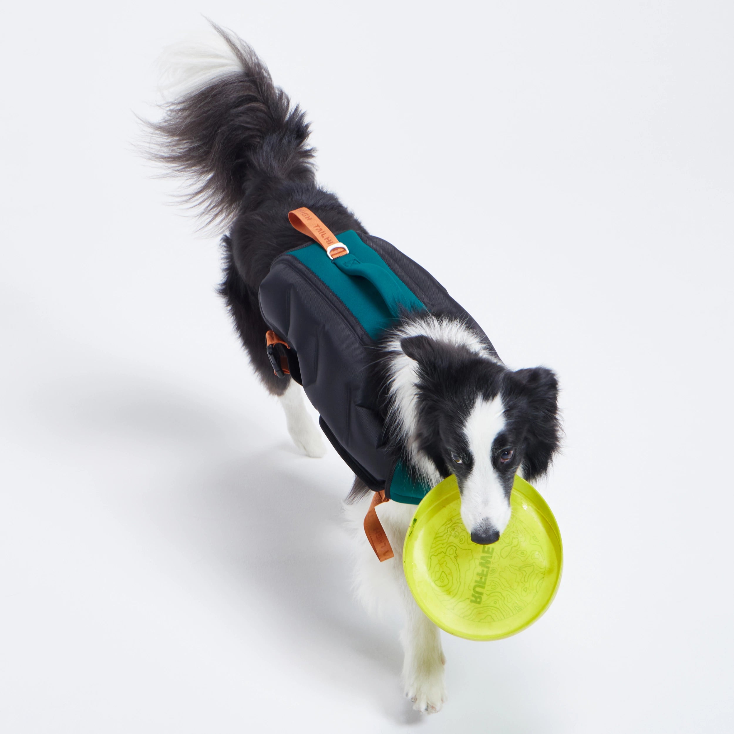 犬用ライフジャケット テールハイ XSサイズ ライフジャケット 犬用 テールハイ XSサイズ 高浮力 の通販 価格