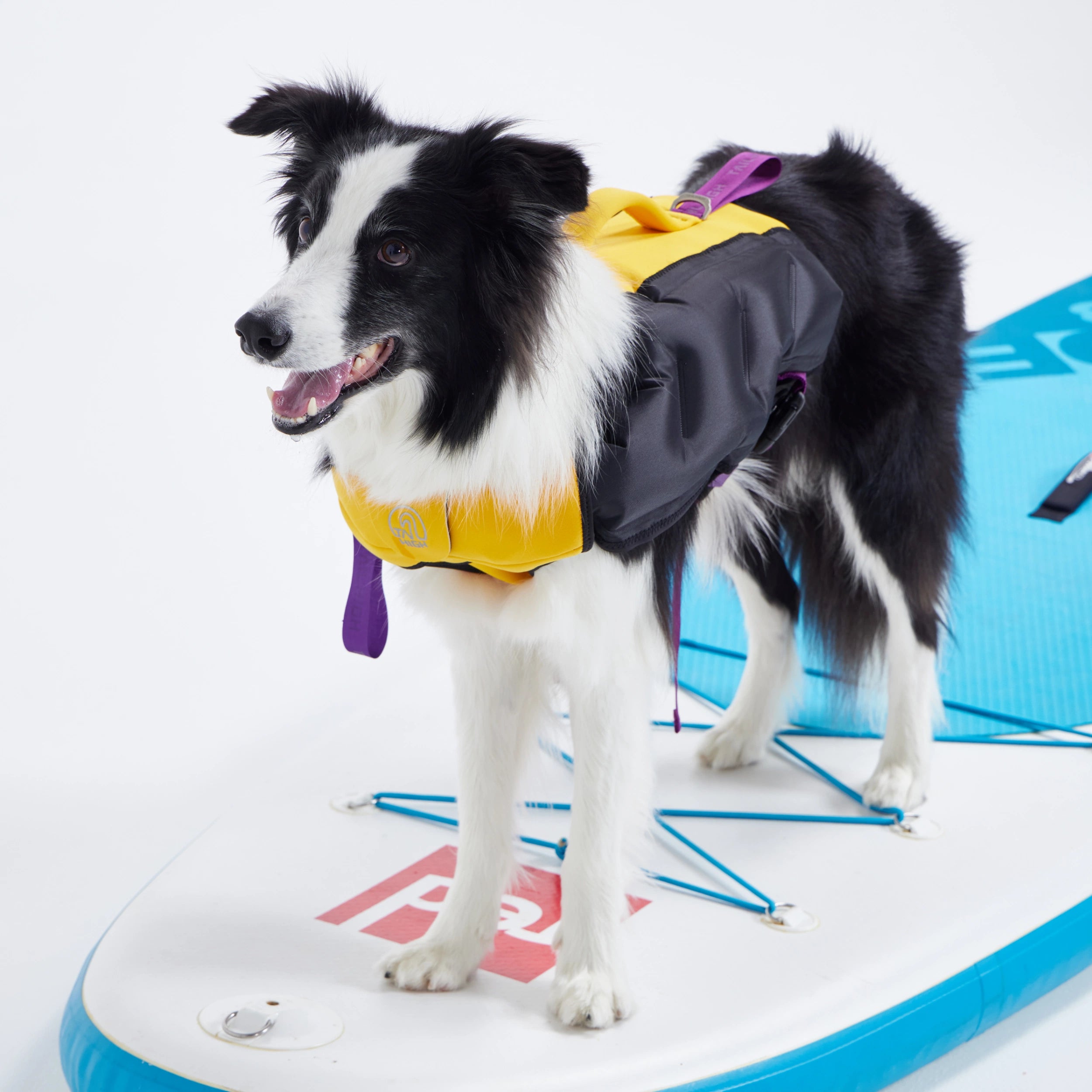 ライフジャケット Inflatable Wetsuit – TAILHIGH ライフジャケット Inflatable Wetsuit – TAILHIGH