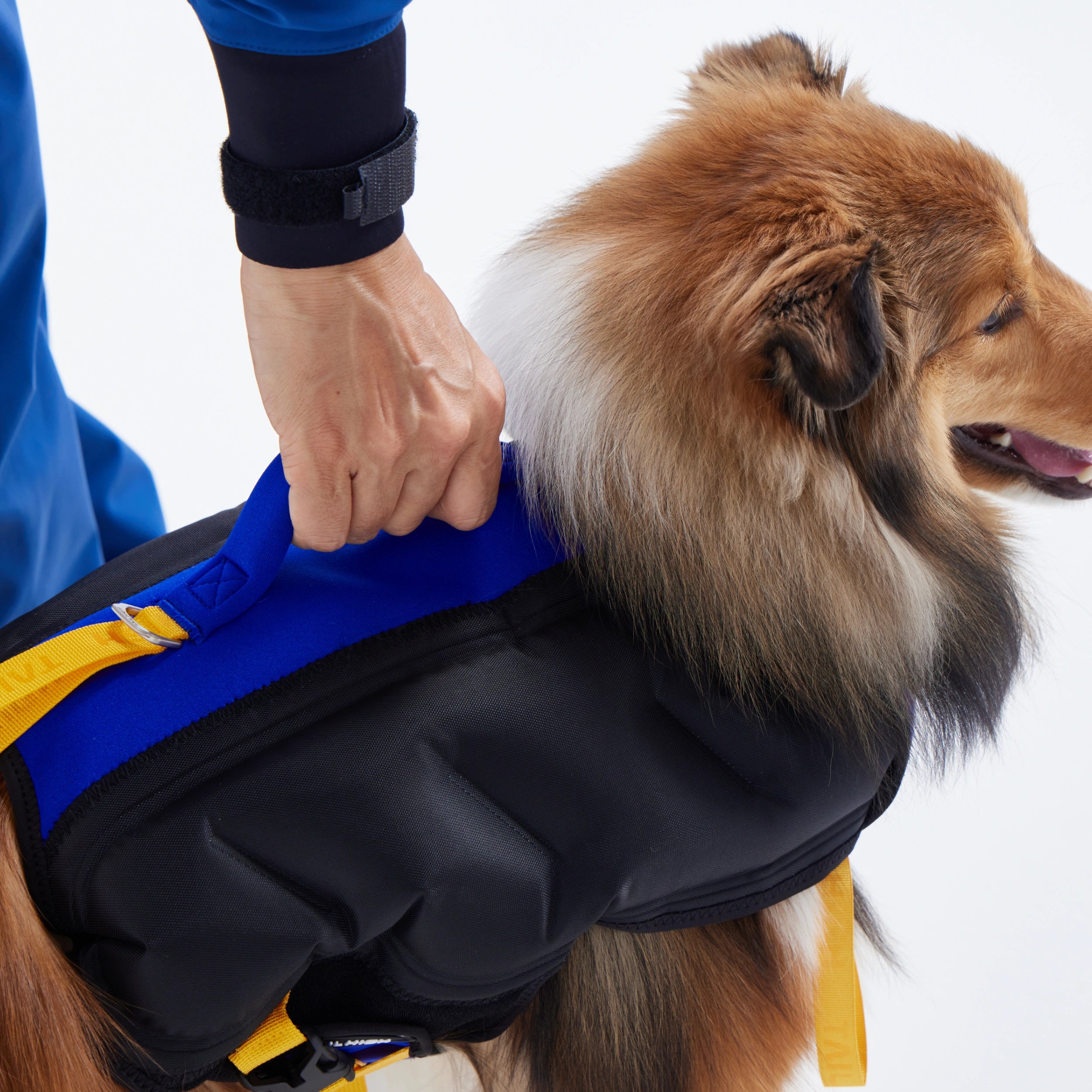 犬専用ライフジャケット 楽天市場】【お取り寄せ】【ペット用品】アウトワードハウンド