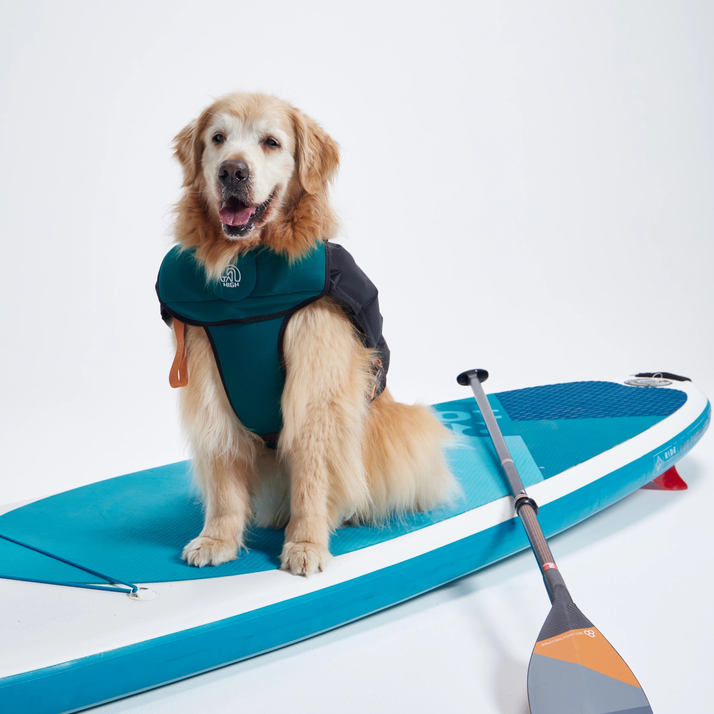 ライフジャケット Inflatable Wetsuit – TAILHIGH ライフジャケット Inflatable Wetsuit – TAILHIGH