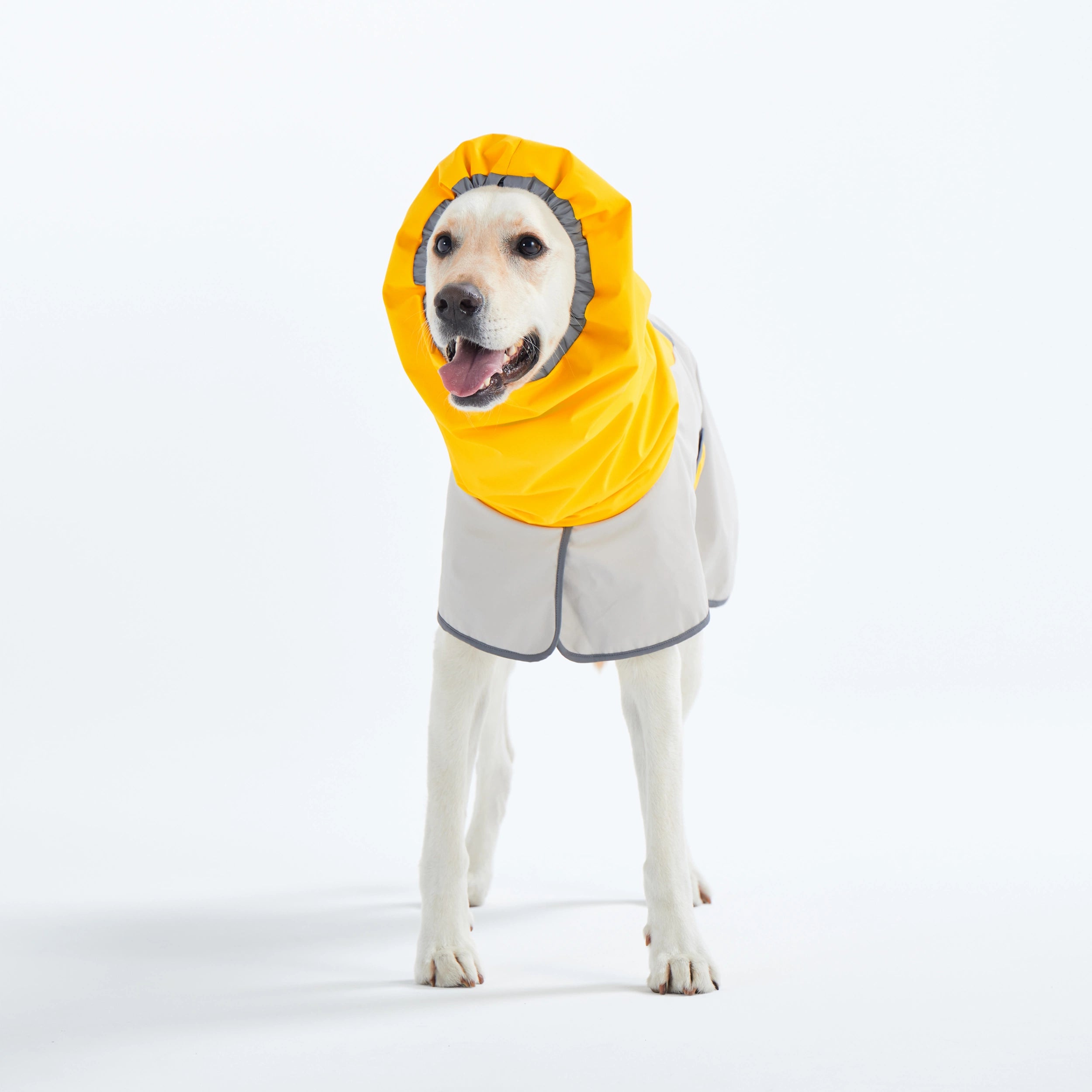 レインコート Go2 Raincoat – TAILHIGH レインコート Go2 Raincoat – TAILHIGH
