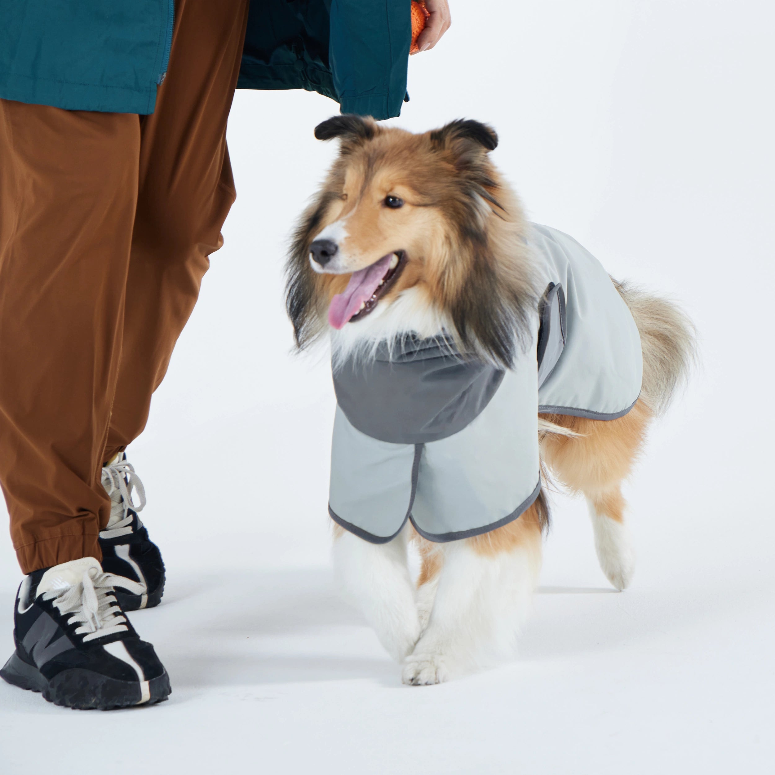 レインコート Go2 Raincoat – TAILHIGH