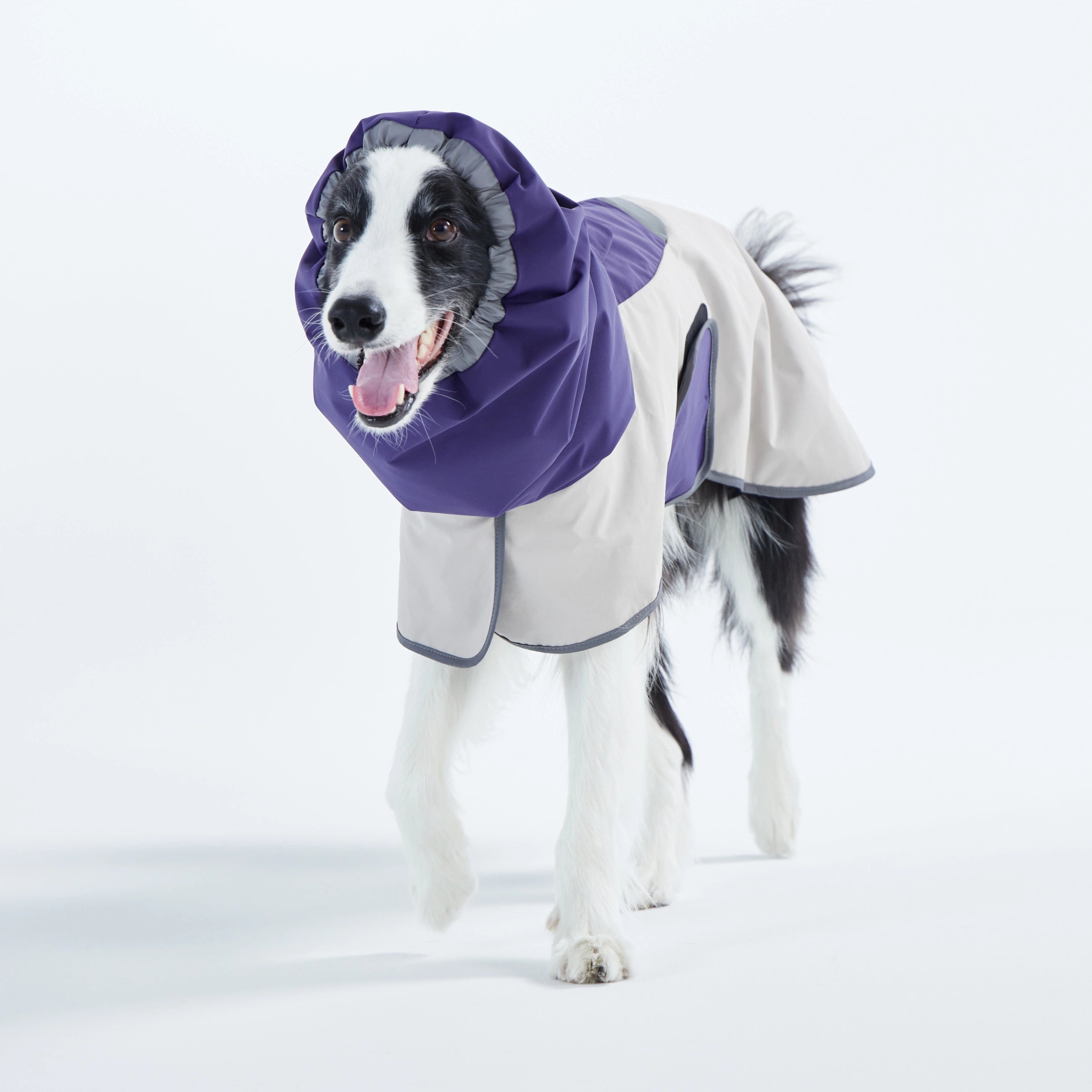 レインコート Go2 Raincoat – TAILHIGH レインコート Go2 Raincoat – TAILHIGH