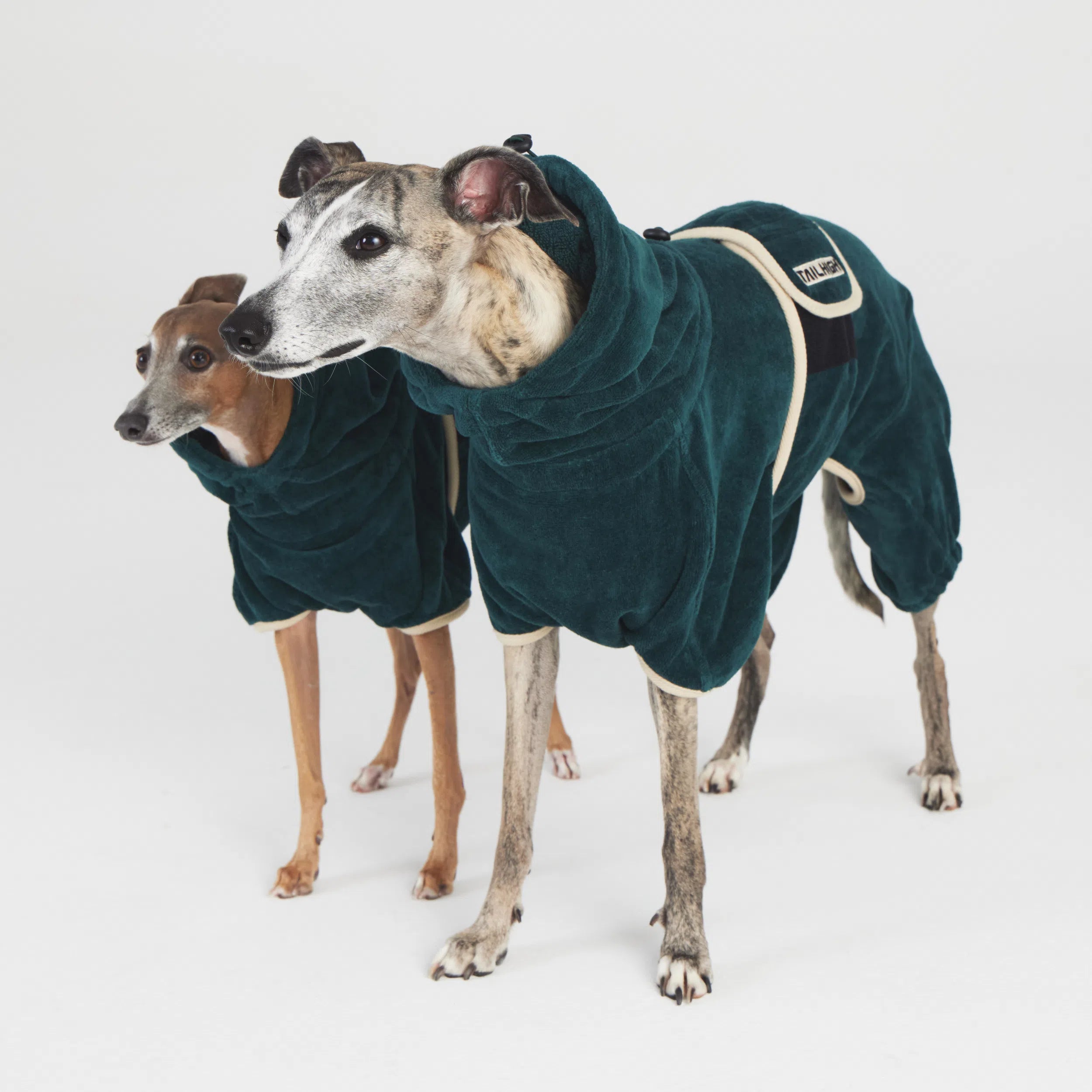 フリース製 ベージュ バスローブ 犬用 pt0120.jpg