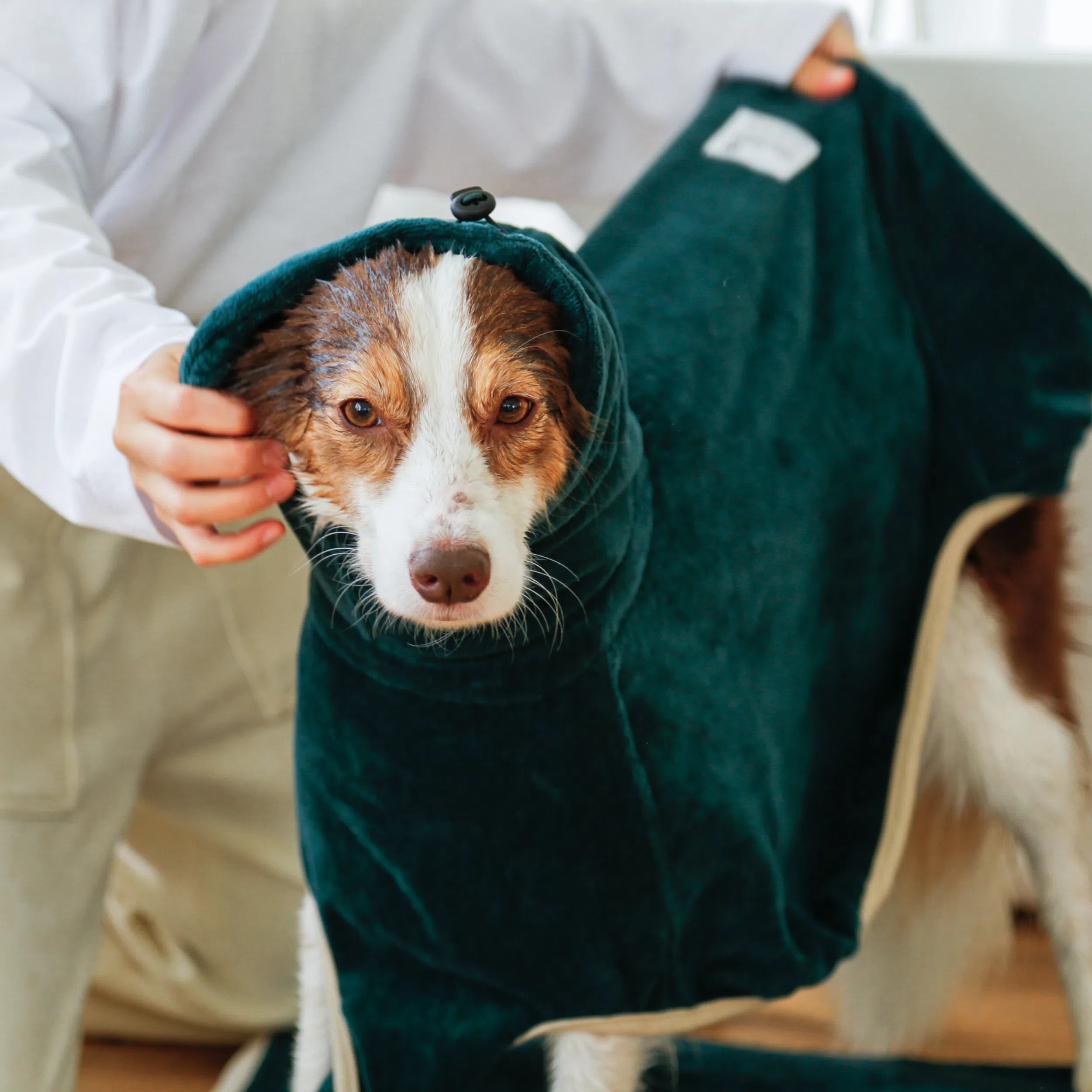 ドライローブ Go2 Drying Wearable Towel – TAILHIGH