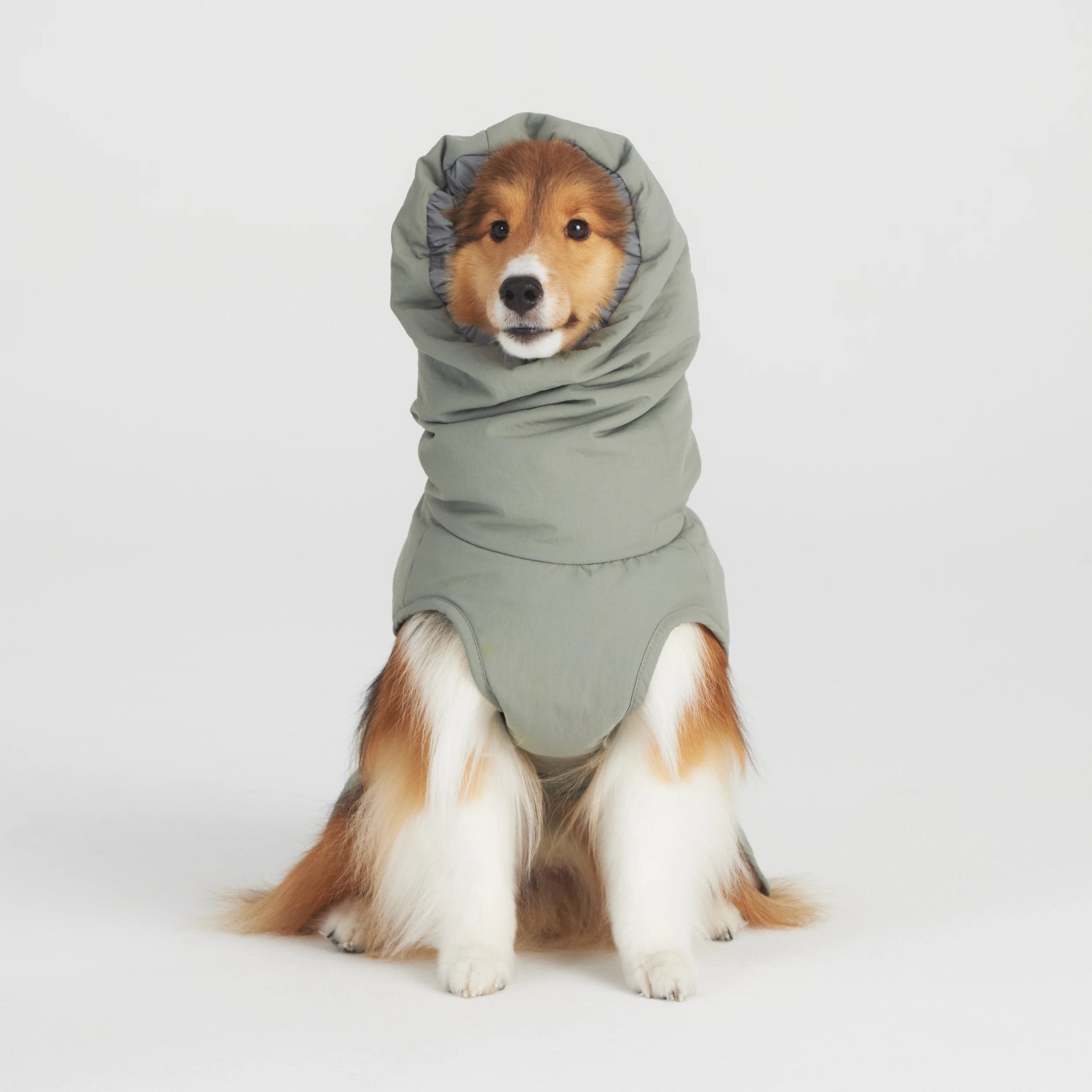 美品犬冬服ウィンタージャケット テールハイ TAILHIGH Sサイズ ウィンタージャケット Down Jumper – TAILHIGH