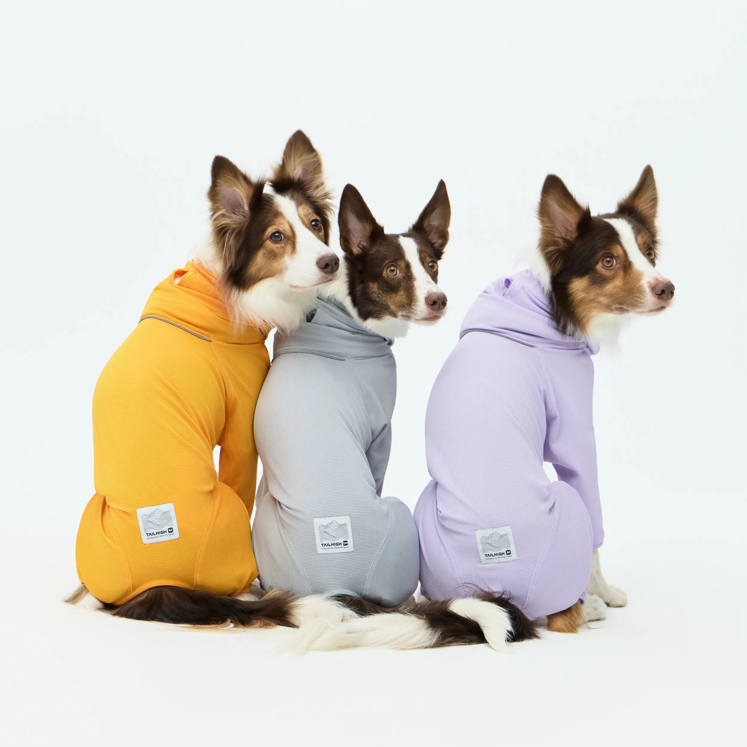 犬用防虫ウェア Anti-Bug Active Suit｜TAILHIGH