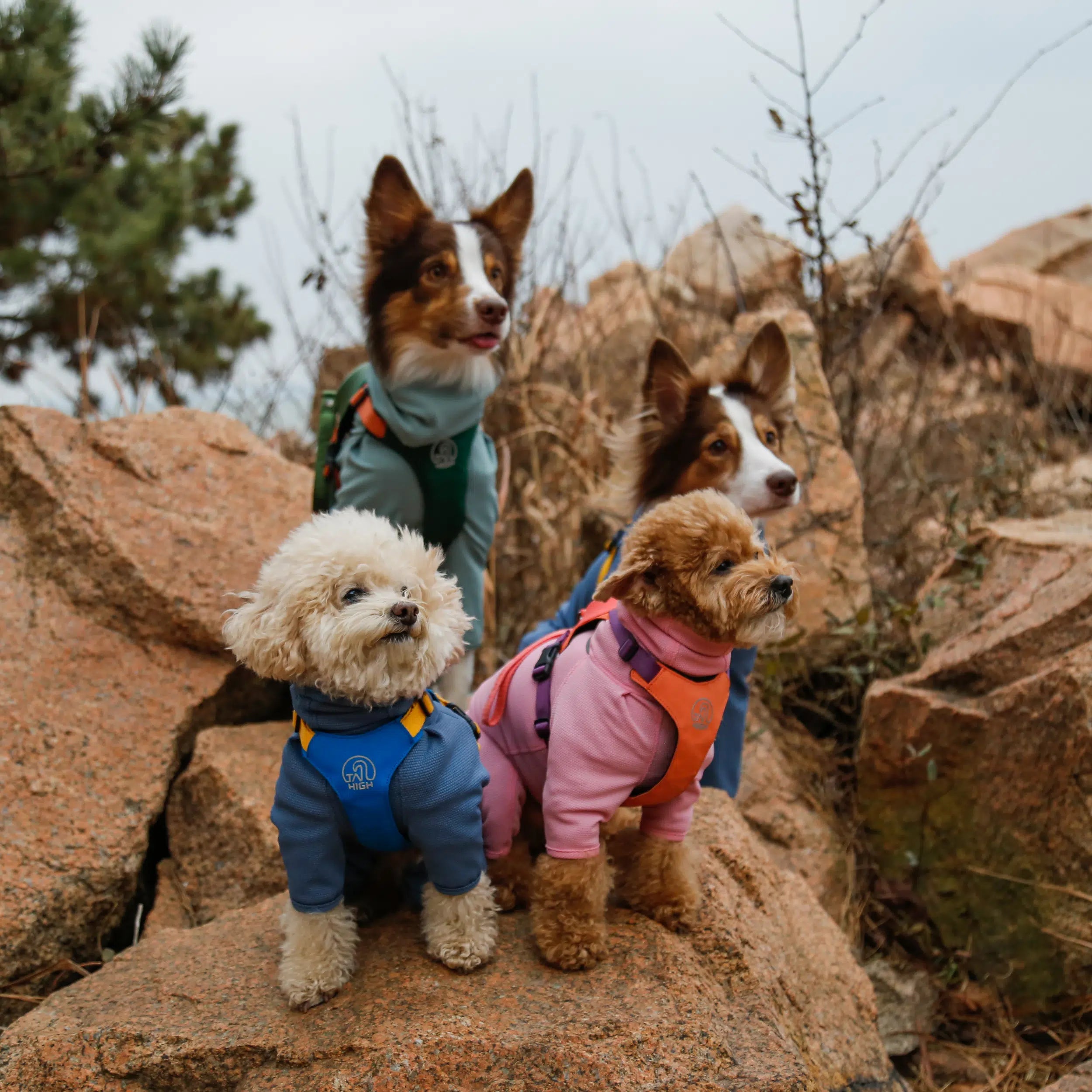 NEW】防虫アクティブスーツ Anti-Bug Active Suit – TAILHIGH