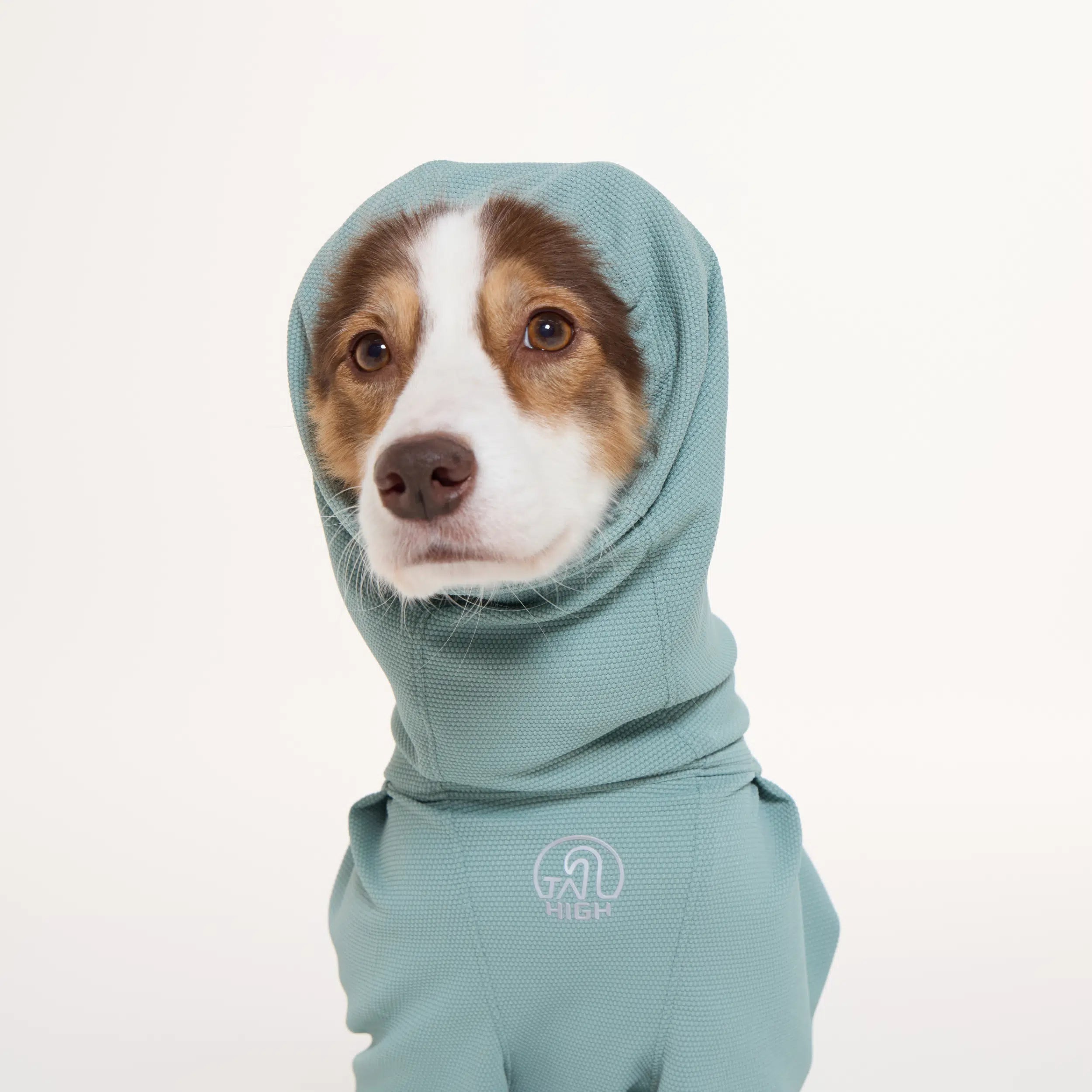 NEW】防虫アクティブスーツ Anti-Bug Active Suit – TAILHIGH