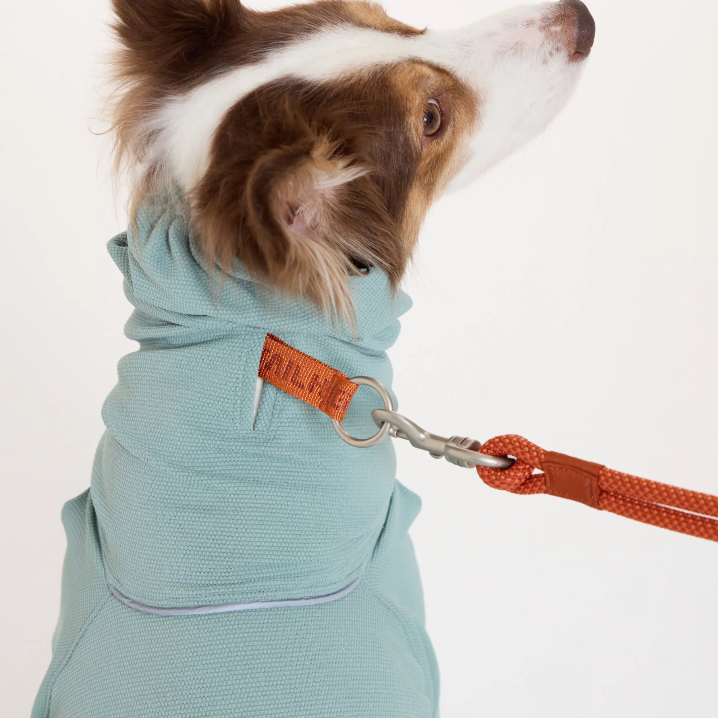 NEW】防虫アクティブスーツ Anti-Bug Active Suit – TAILHIGH